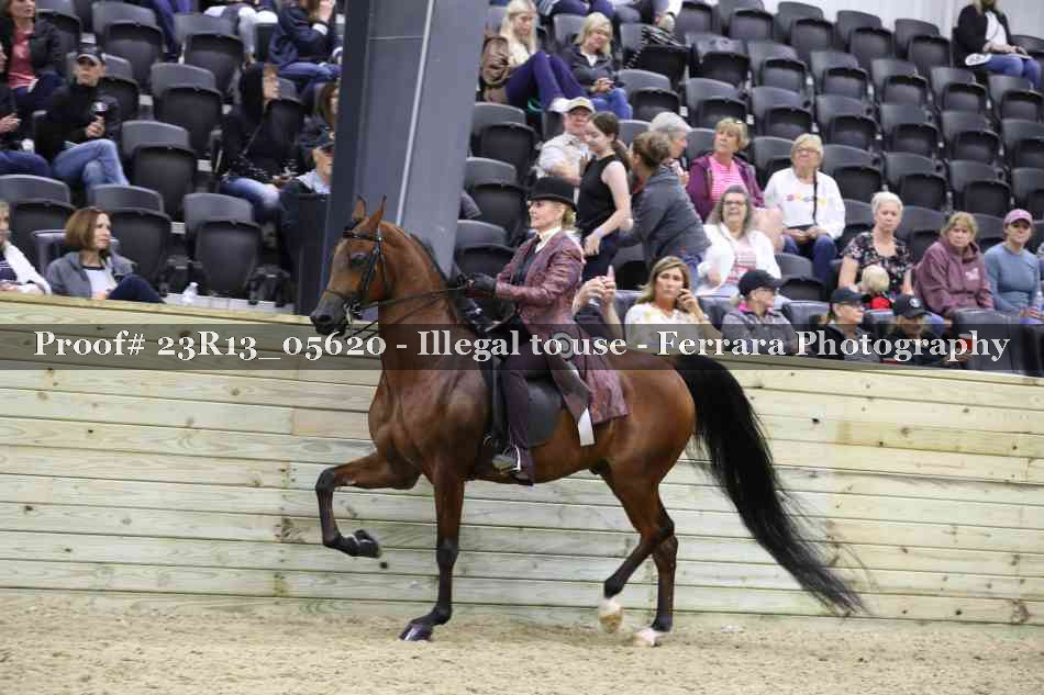 Proof Number 23R13_05620