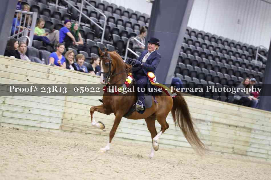 Proof Number 23R13_05622