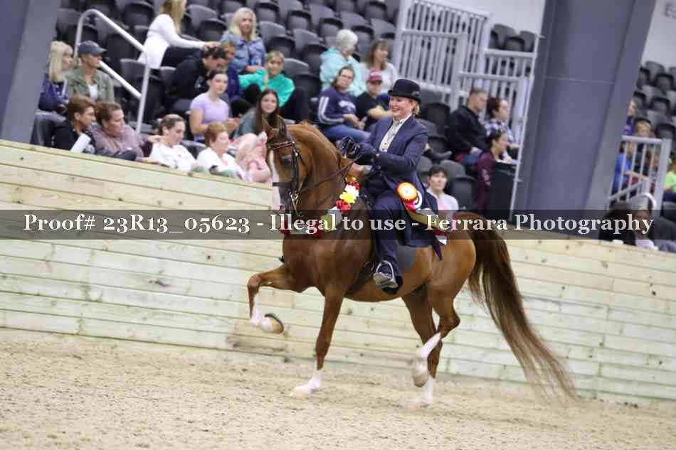 Proof Number 23R13_05623