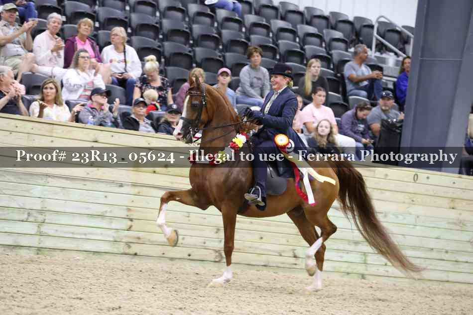 Proof Number 23R13_05624