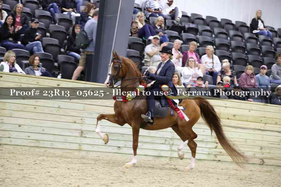 Proof Number 23R13_05625