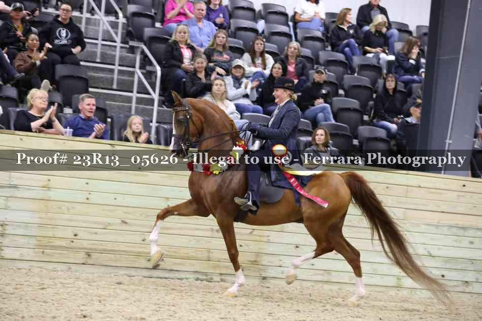 Proof Number 23R13_05626