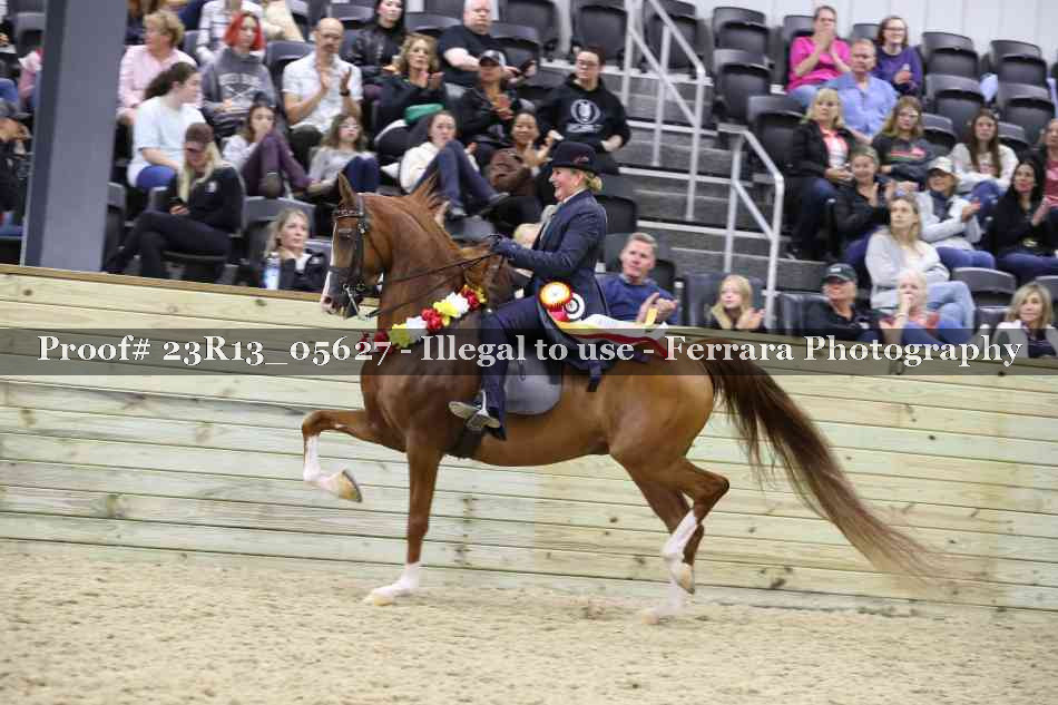 Proof Number 23R13_05627