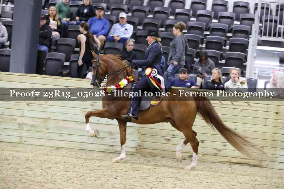 Proof Number 23R13_05628
