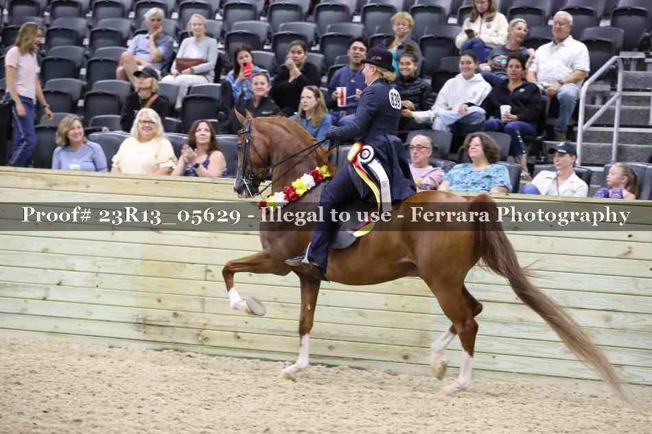 Proof Number 23R13_05629