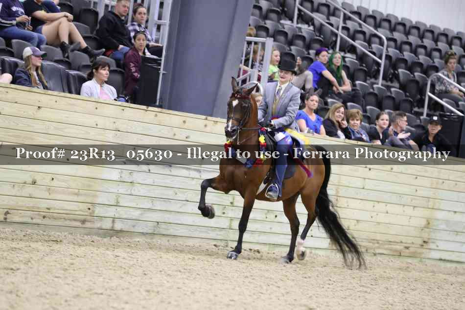 Proof Number 23R13_05630