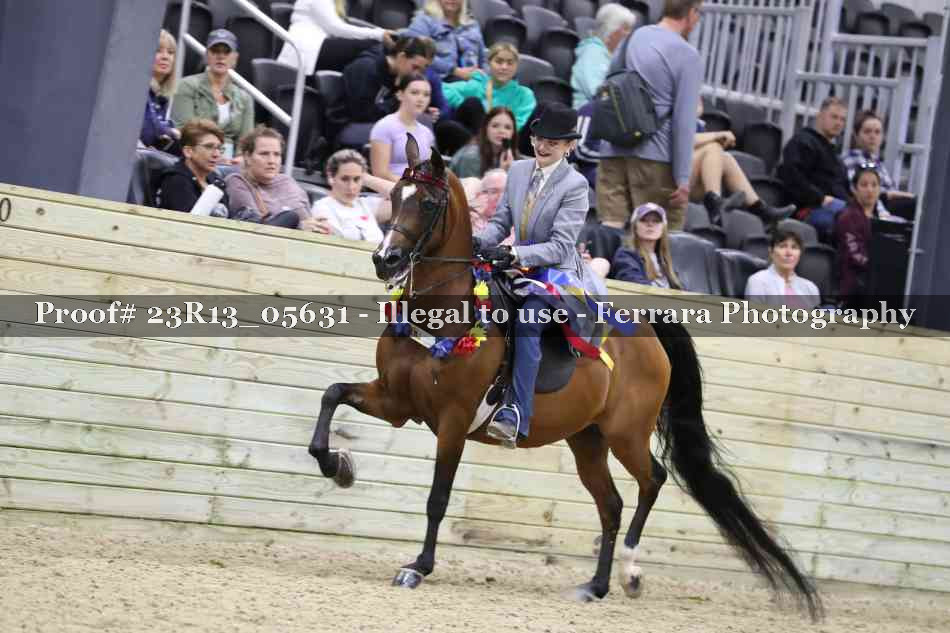 Proof Number 23R13_05631