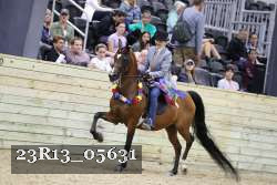 23R13_05631 thumbnail