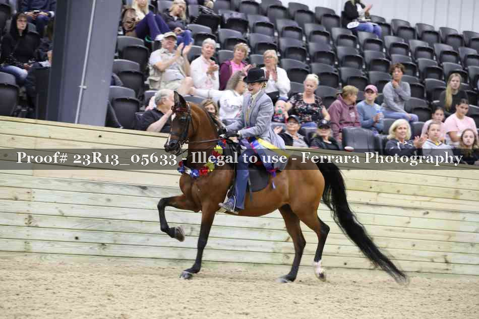 Proof Number 23R13_05633