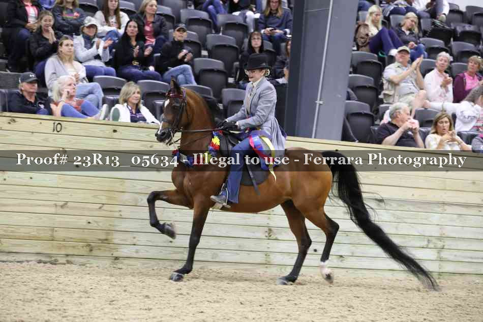 Proof Number 23R13_05634