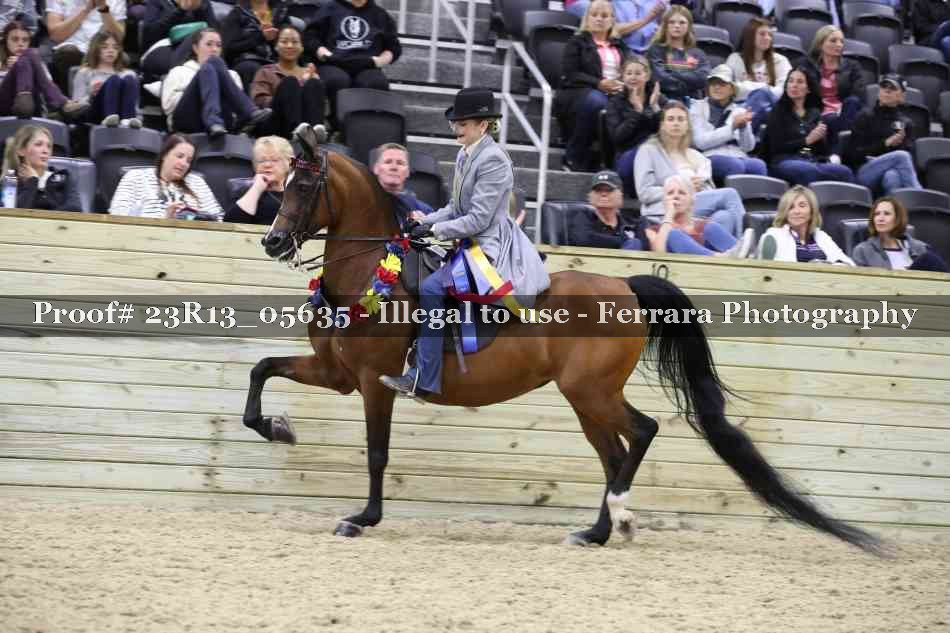 Proof Number 23R13_05635