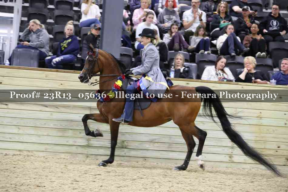 Proof Number 23R13_05636