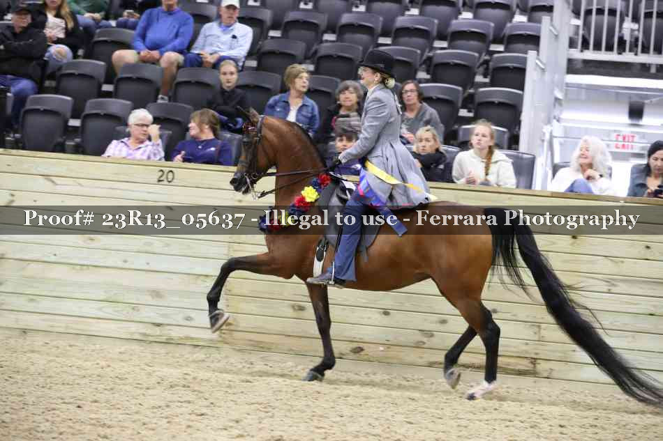 Proof Number 23R13_05637