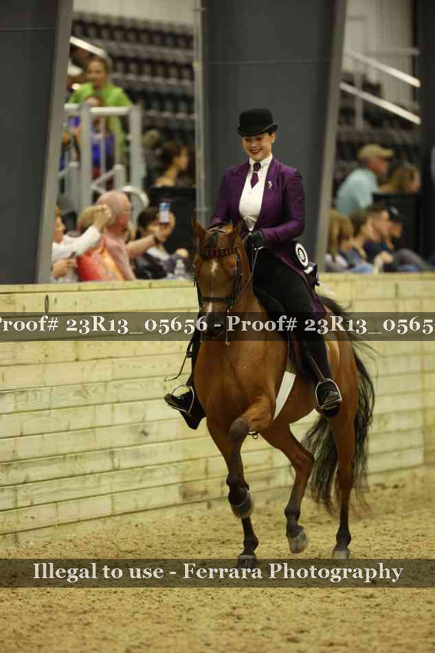 Proof Number 23R13_05656
