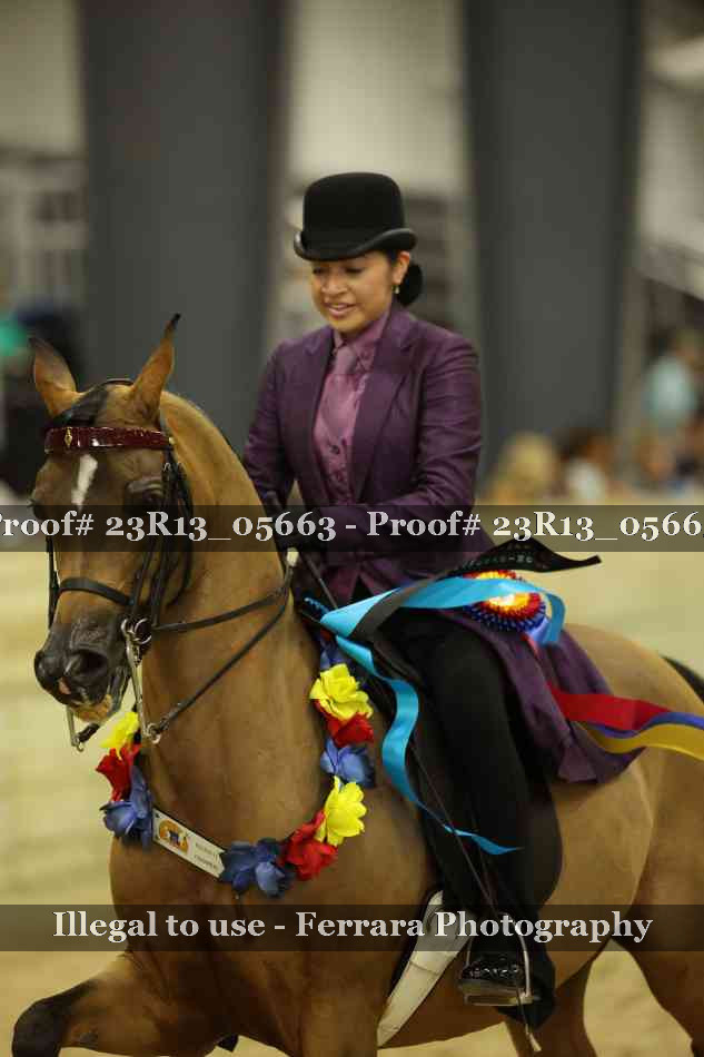 Proof Number 23R13_05663