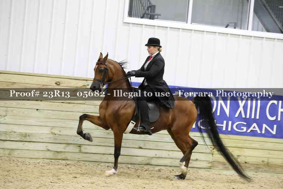Proof Number 23R13_05682
