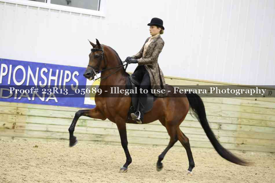 Proof Number 23R13_05689