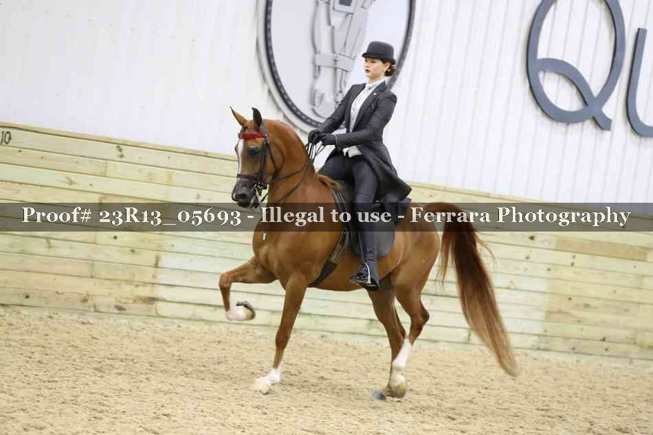 Proof Number 23R13_05693
