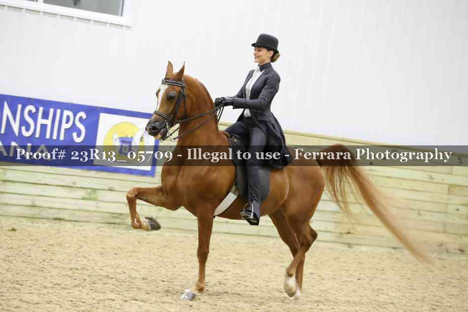 Proof Number 23R13_05709