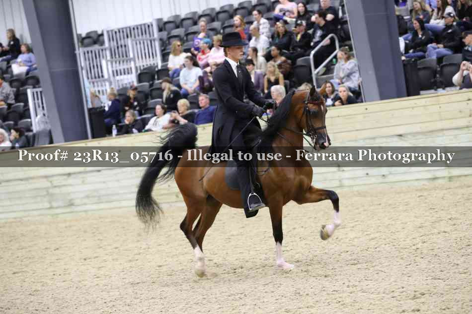 Proof Number 23R13_05716