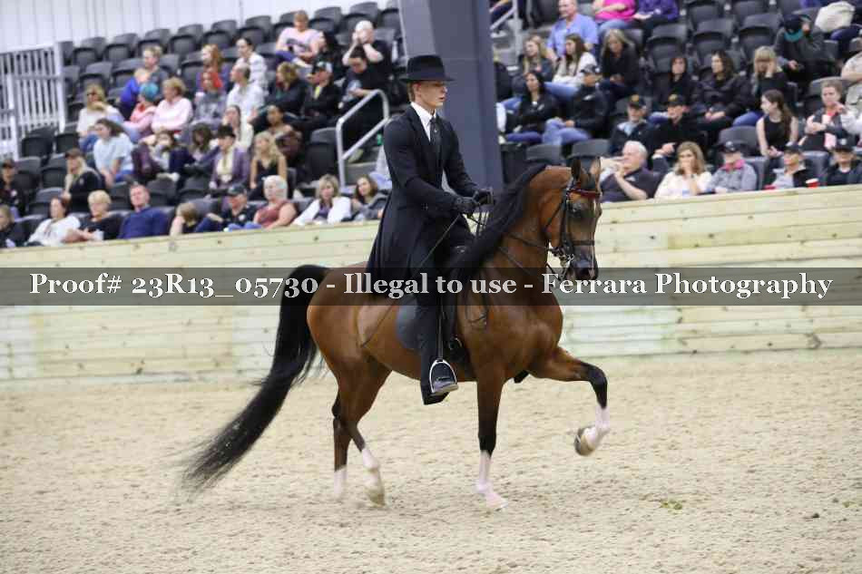 Proof Number 23R13_05730
