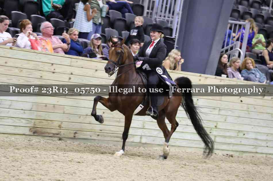 Proof Number 23R13_05750