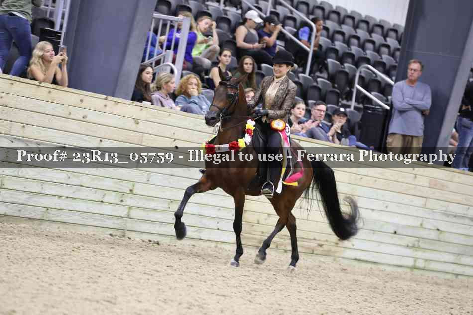 Proof Number 23R13_05759