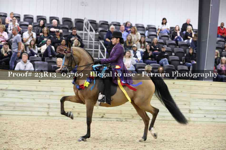 Proof Number 23R13_05769