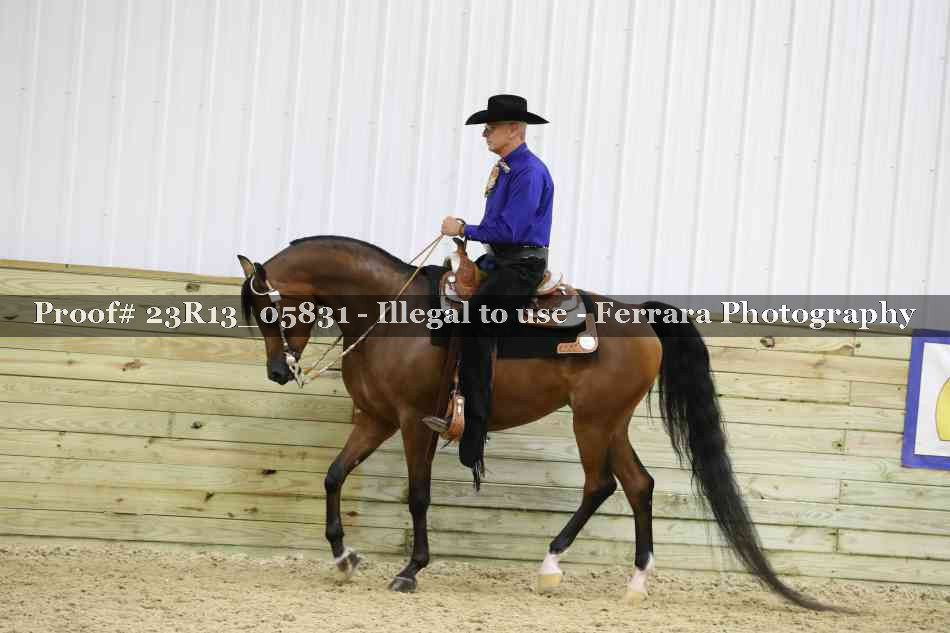 Proof Number 23R13_05831