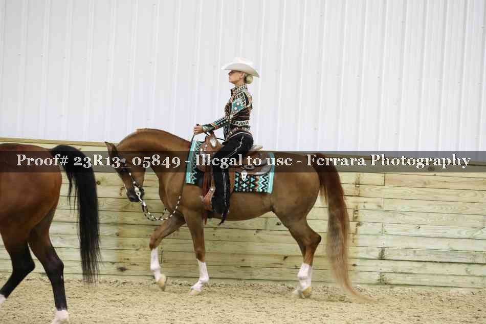 Proof Number 23R13_05849