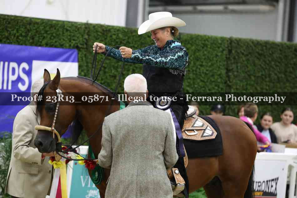 Proof Number 23R13_05871