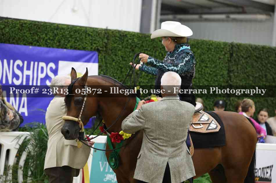 Proof Number 23R13_05872