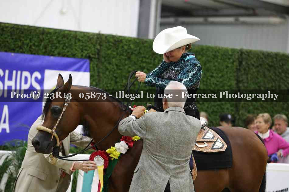 Proof Number 23R13_05873