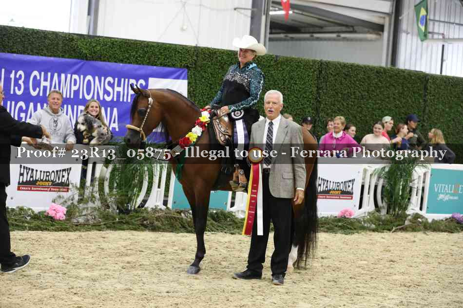 Proof Number 23R13_05875
