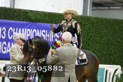 23R13_05882 thumbnail