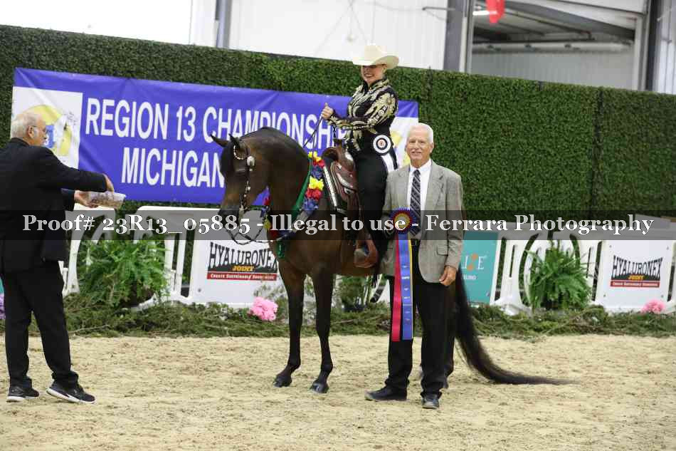Proof Number 23R13_05885