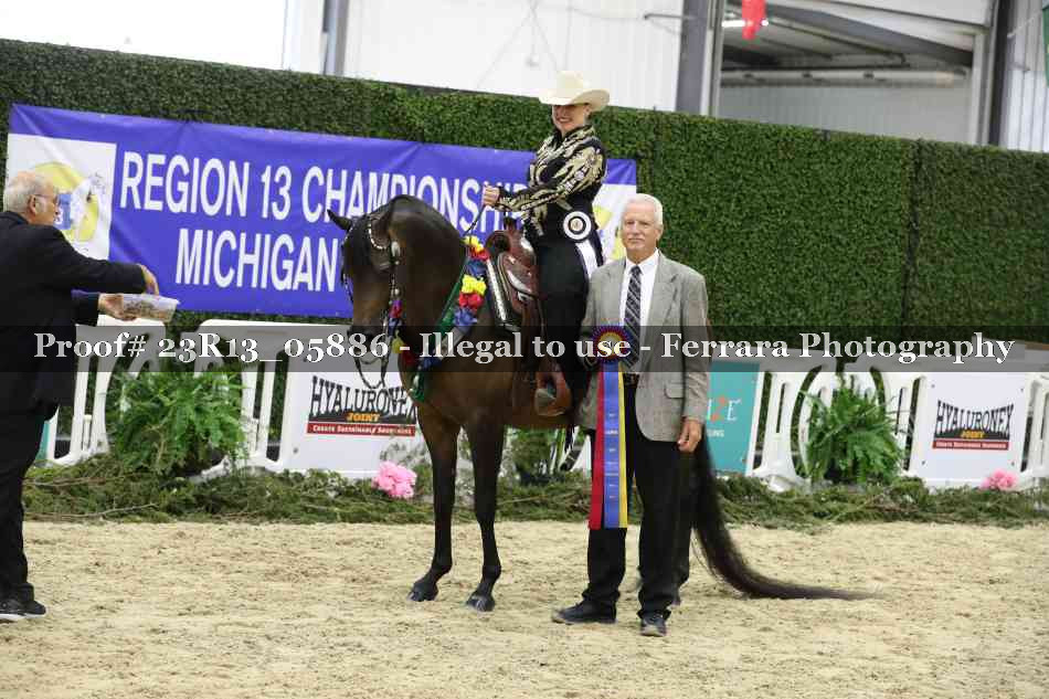 Proof Number 23R13_05886