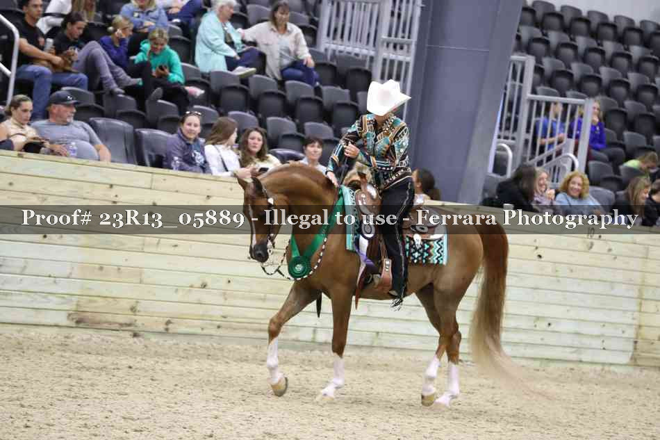 Proof Number 23R13_05889