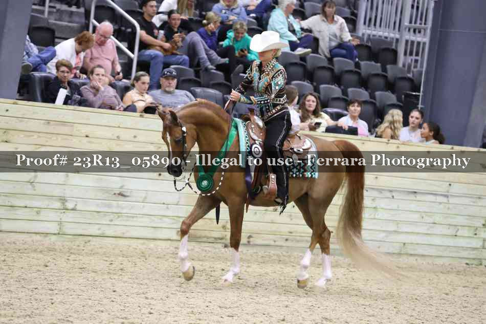 Proof Number 23R13_05890