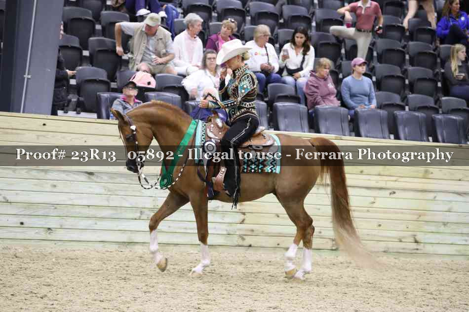 Proof Number 23R13_05892