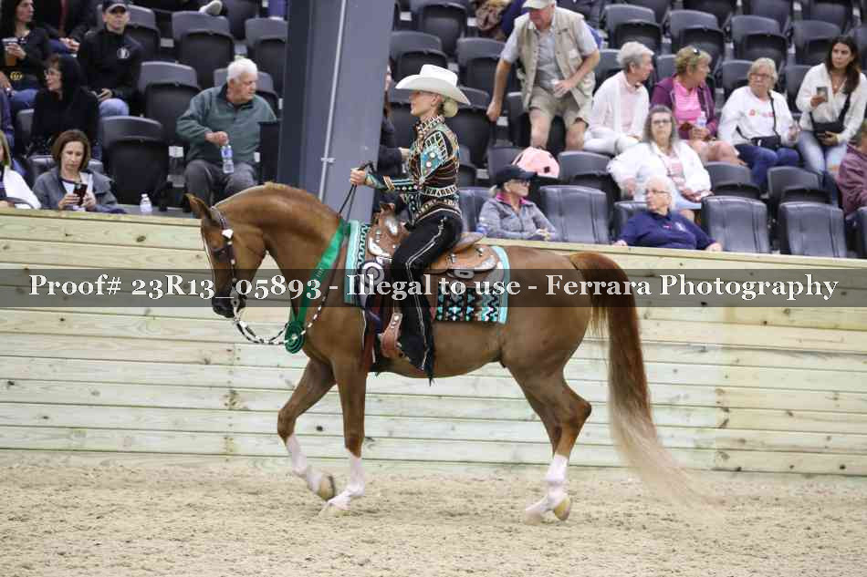Proof Number 23R13_05893