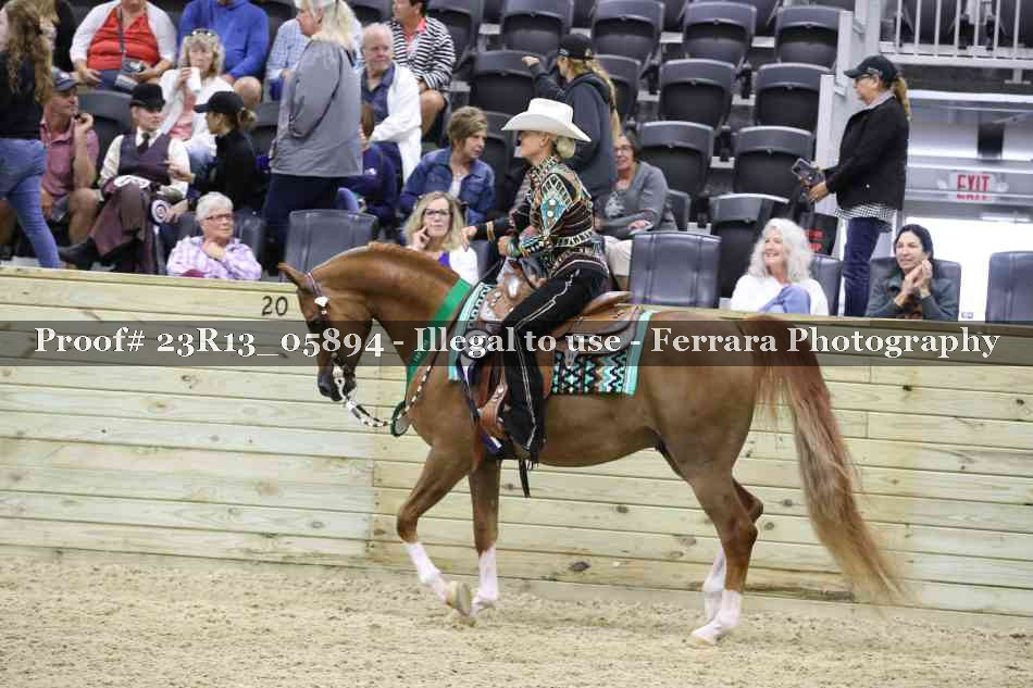 Proof Number 23R13_05894