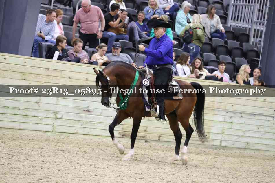 Proof Number 23R13_05895
