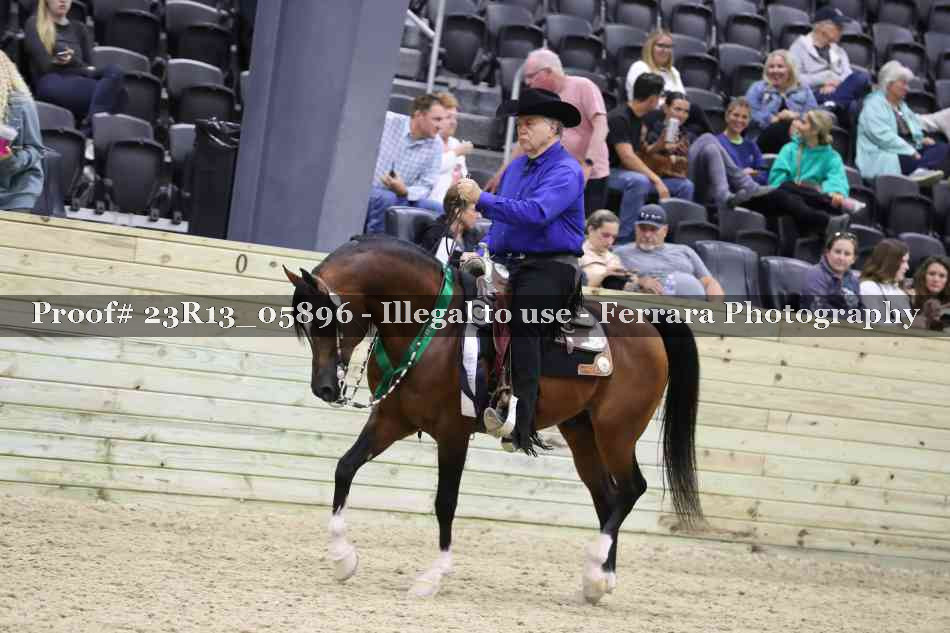 Proof Number 23R13_05896