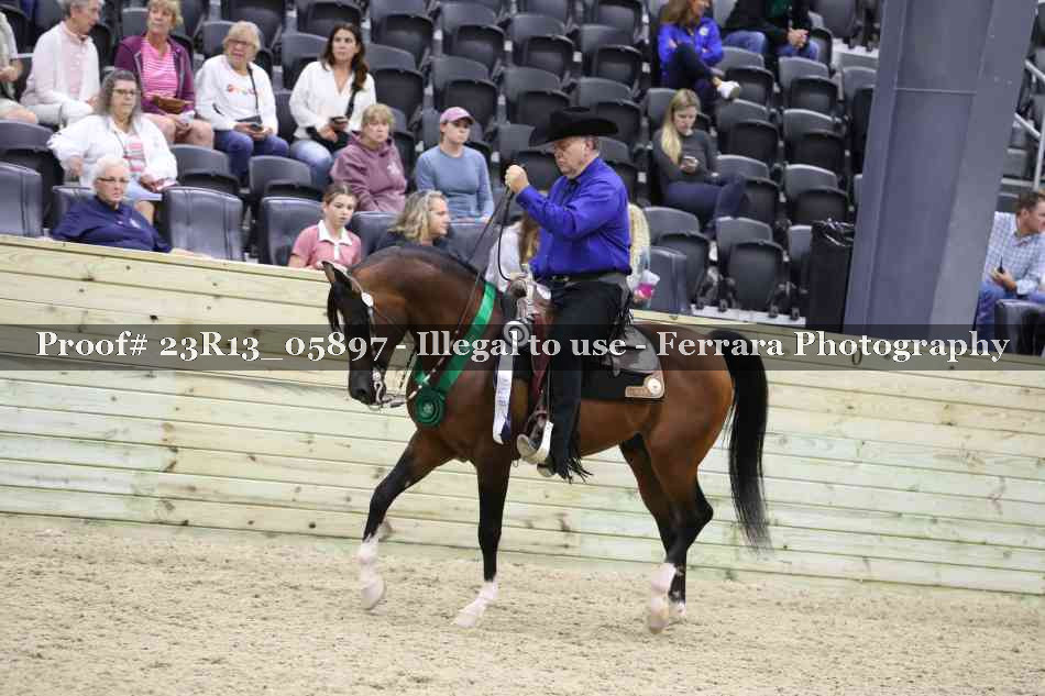 Proof Number 23R13_05897