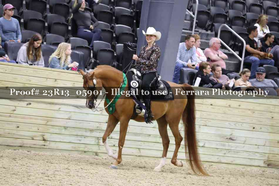 Proof Number 23R13_05901