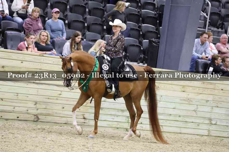 Proof Number 23R13_05902