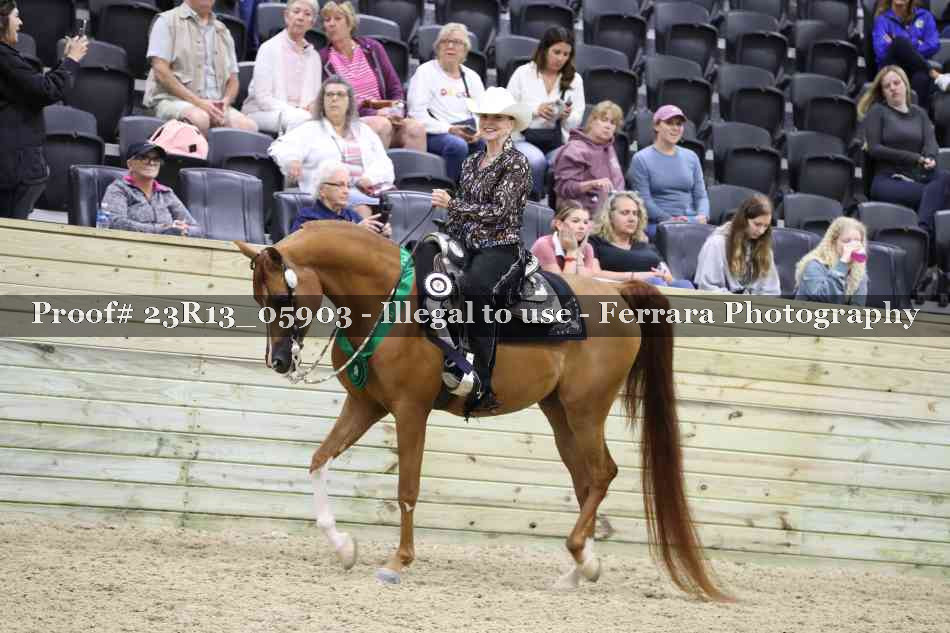 Proof Number 23R13_05903