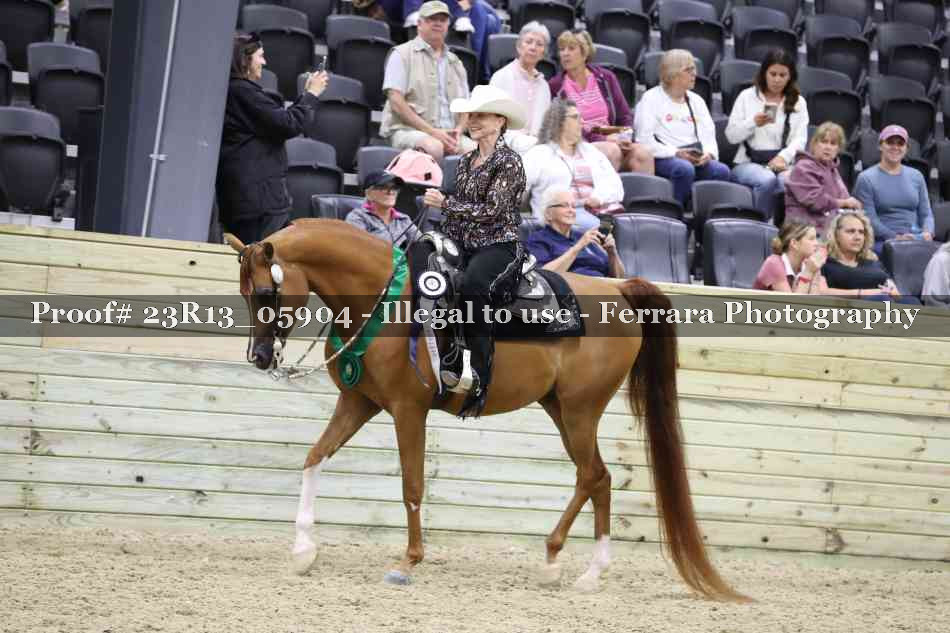 Proof Number 23R13_05904