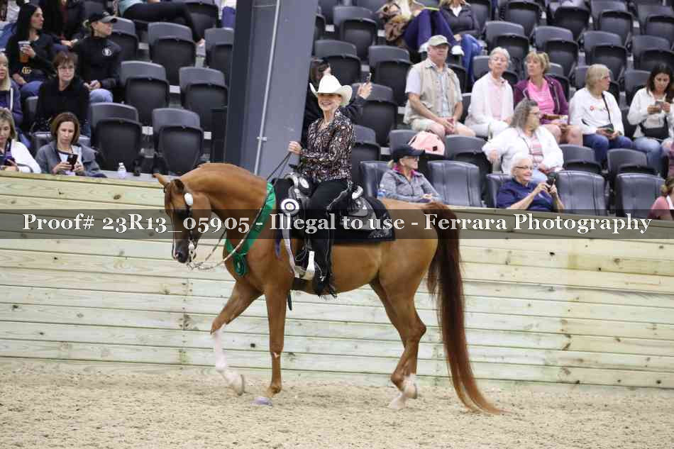 Proof Number 23R13_05905